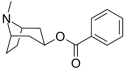 Tropacocain